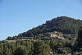 Bernhard Saalfeld - DSC05699.JPG