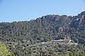 Bernhard Saalfeld - DSC05706.JPG