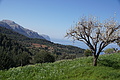 Bernhard Saalfeld - DSC05719.JPG