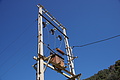 Bernhard Saalfeld - DSC05723.JPG