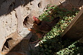 Bernhard Saalfeld - DSC05739.JPG