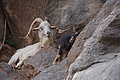 Bernhard Saalfeld - DSC05772.JPG