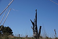Bernhard Saalfeld - DSC05845.JPG