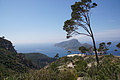 Bernhard Saalfeld - DSC05899.JPG