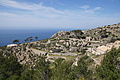 Bernhard Saalfeld - DSC05909.JPG