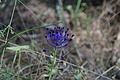 Bernhard Saalfeld - DSC05925.JPG
