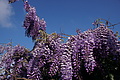 Bernhard Saalfeld - DSC05940.JPG