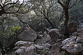 Bernhard Saalfeld - DSC05947.JPG