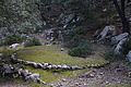 Bernhard Saalfeld - DSC05953.JPG