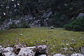 Bernhard Saalfeld - DSC05954.JPG