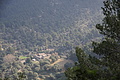 Bernhard Saalfeld - DSC05957.JPG