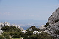 Bernhard Saalfeld - DSC05991.JPG