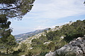 Bernhard Saalfeld - DSC06007.JPG