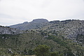 Bernhard Saalfeld - DSC06011.JPG