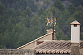Bernhard Saalfeld - DSC06024.JPG