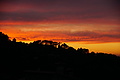 Bernhard Saalfeld - DSC06030.JPG