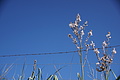 Bernhard Saalfeld - DSC06041.JPG