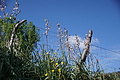 Bernhard Saalfeld - DSC06042.JPG