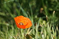 Bernhard Saalfeld - DSC06043.JPG
