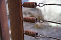Bernhard Saalfeld - DSC06051.JPG