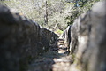 Bernhard Saalfeld - DSC06055.JPG