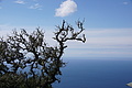 Bernhard Saalfeld - DSC06110.JPG