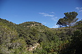 Bernhard Saalfeld - DSC06118.JPG