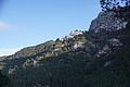 Bernhard Saalfeld - DSC06159.JPG