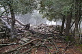 Bernhard Saalfeld - DSC06225.JPG
