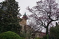 Bernhard Saalfeld - DSC06231.JPG