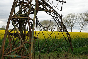 Bernhard Saalfeld - DSC02525.JPG