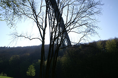 Bernhard Saalfeld - d.JPG