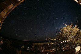 Bernhard Saalfeld - NAMIB0230_DSC06542.JPG