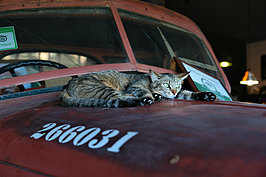 Bernhard Saalfeld - NAMIB0389_DSC06653.JPG