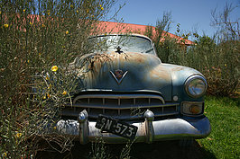 Bernhard Saalfeld - NAMIB0500_DSC06744.JPG