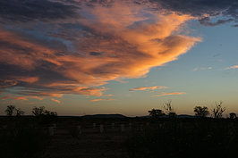 Bernhard Saalfeld - NAMIB0587_DSC06814.JPG