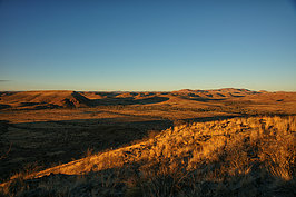 Bernhard Saalfeld - NAMIB0747_DSC06975.JPG