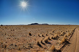 NAMIB0889_DSC07066_t.JPG
