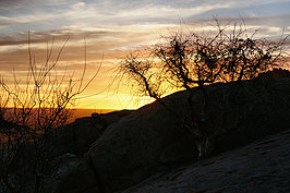 Bernhard Saalfeld - NAMIB1152_DSC07248.JPG