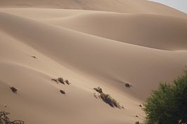 NAMIB0978_DSC02328_t.JPG