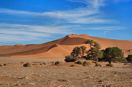 NAMIB0994_DSC07140_t.JPG