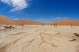 Bernhard Saalfeld - NAMIB1051_DSC07167.JPG