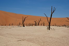 Bernhard Saalfeld - NAMIB1094_DSC07198.JPG