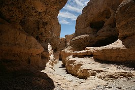 Bernhard Saalfeld - NAMIB1124_DSC07219.JPG