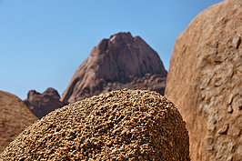 NAMIB1733_DSC07479_t.JPG