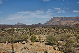Bernhard Saalfeld - NAMIB1776_DSC02766.JPG