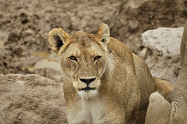 NAMIB2224_DSC02992_t.JPG