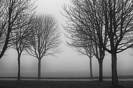 Bernhard Saalfeld - Nebel