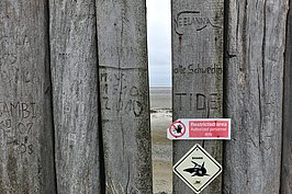 Bernhard Saalfeld - DSCF3113