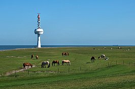 Bernhard Saalfeld - DSCF3162